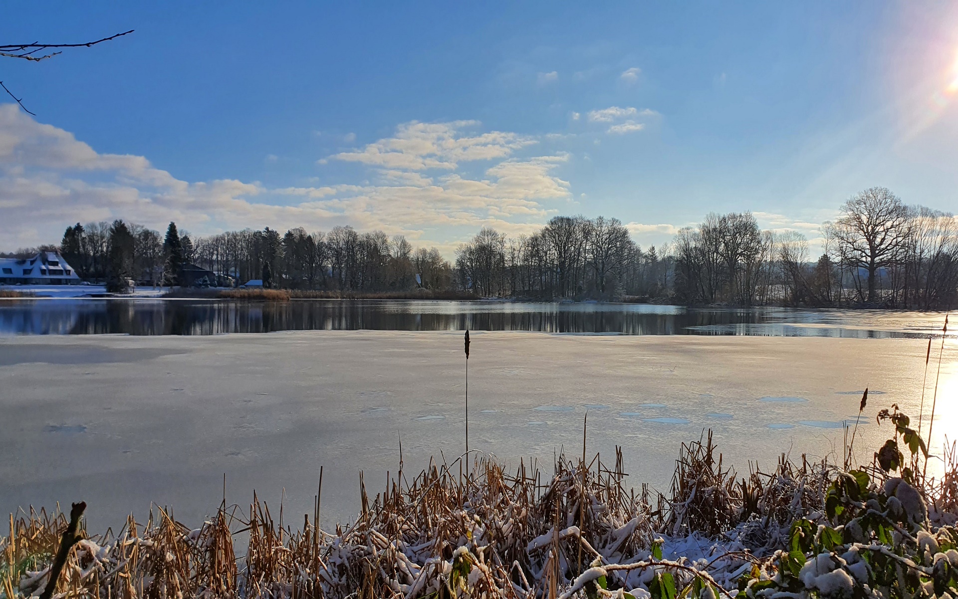 Hoisdorfer Teiche im Winter